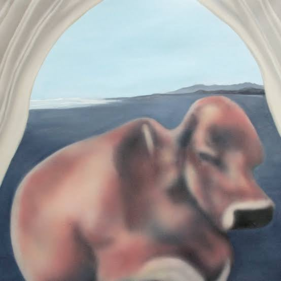 Mikey Young - Curtains LP