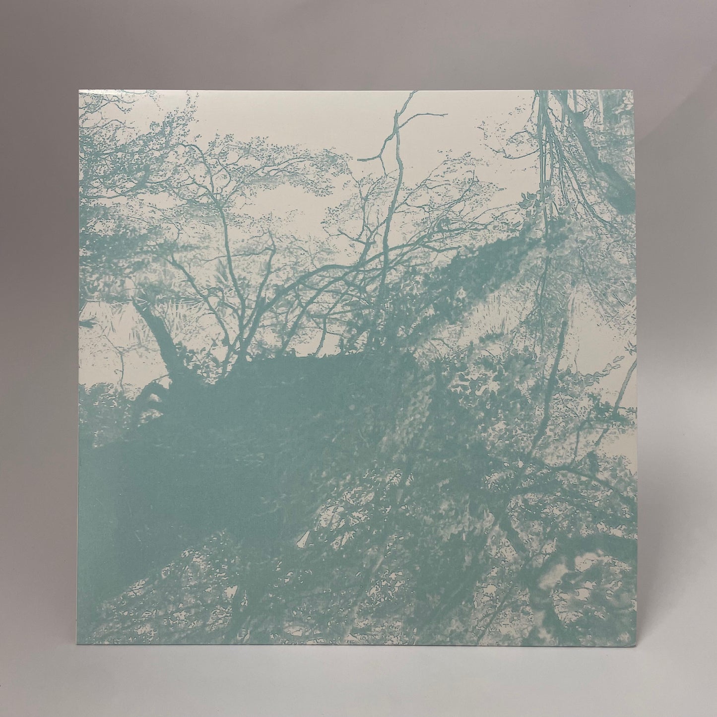 Bluetung - Music For Our Dying Earth LP