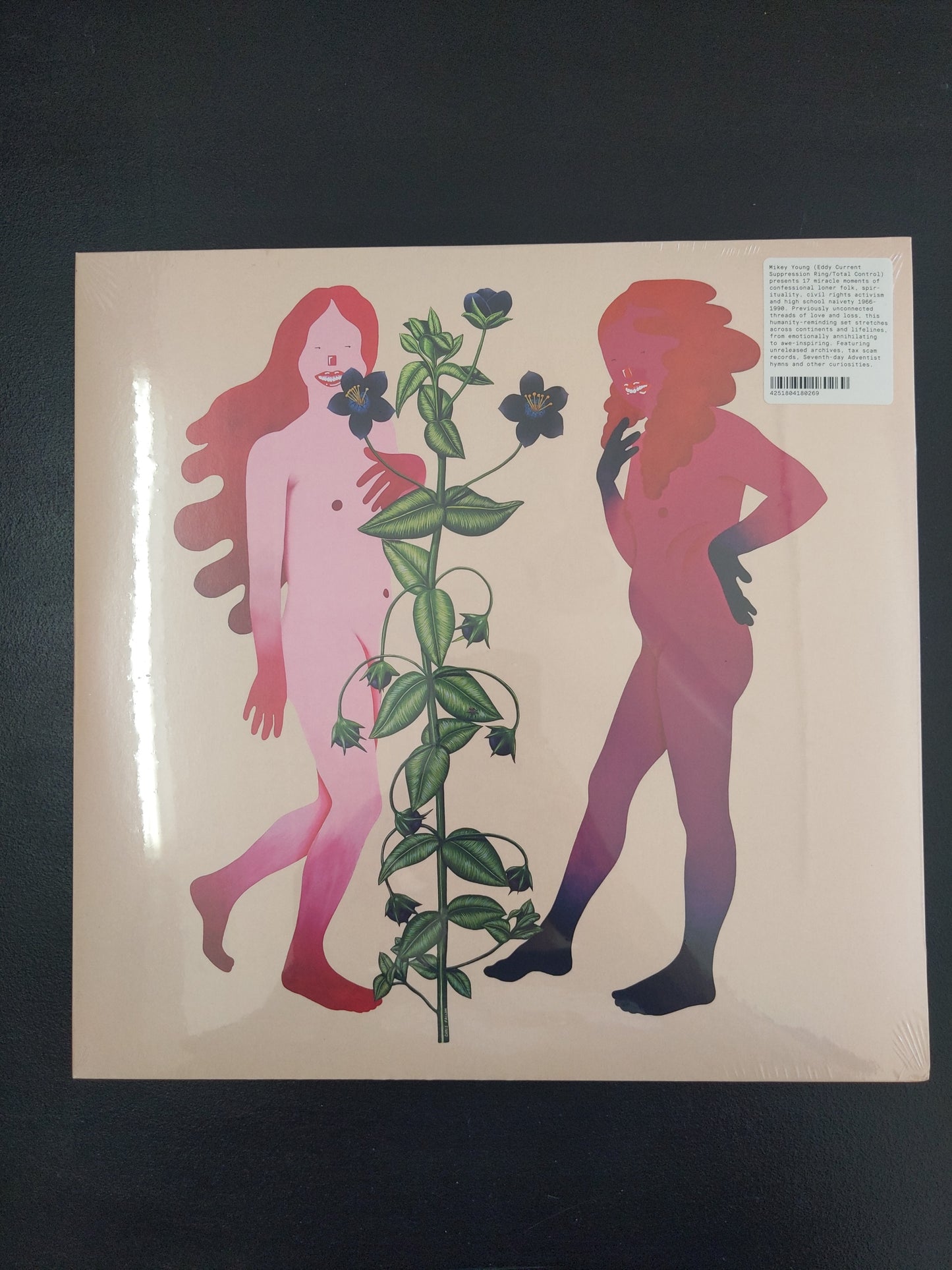 VA - Someone Like Me