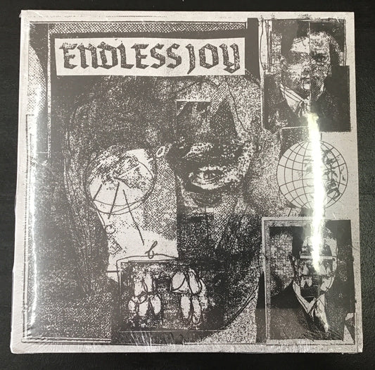 Endless Joy - S/T LP