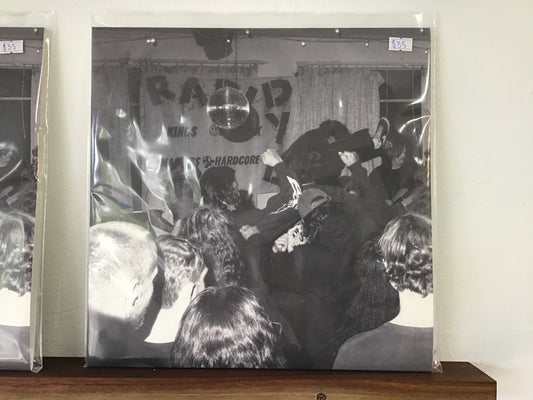 RAPID DYE LP