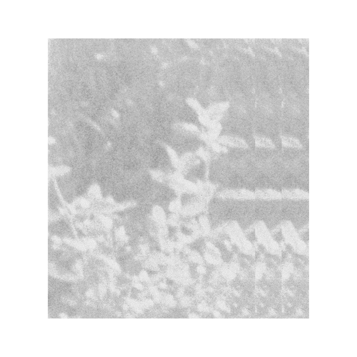 Glen Rey - of that which we cannot speak