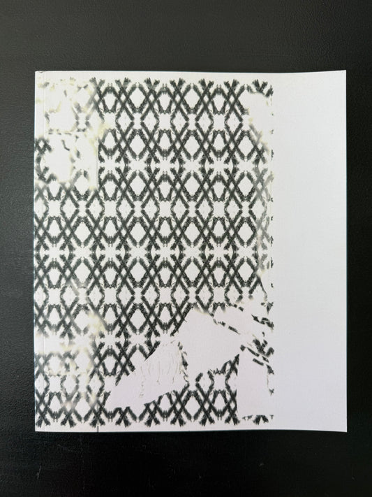 Nik Kamvissis - Dead at Slugs Book