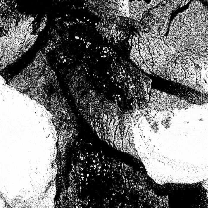 MANGLED STATE - POST MORTEM CONVULSION LP