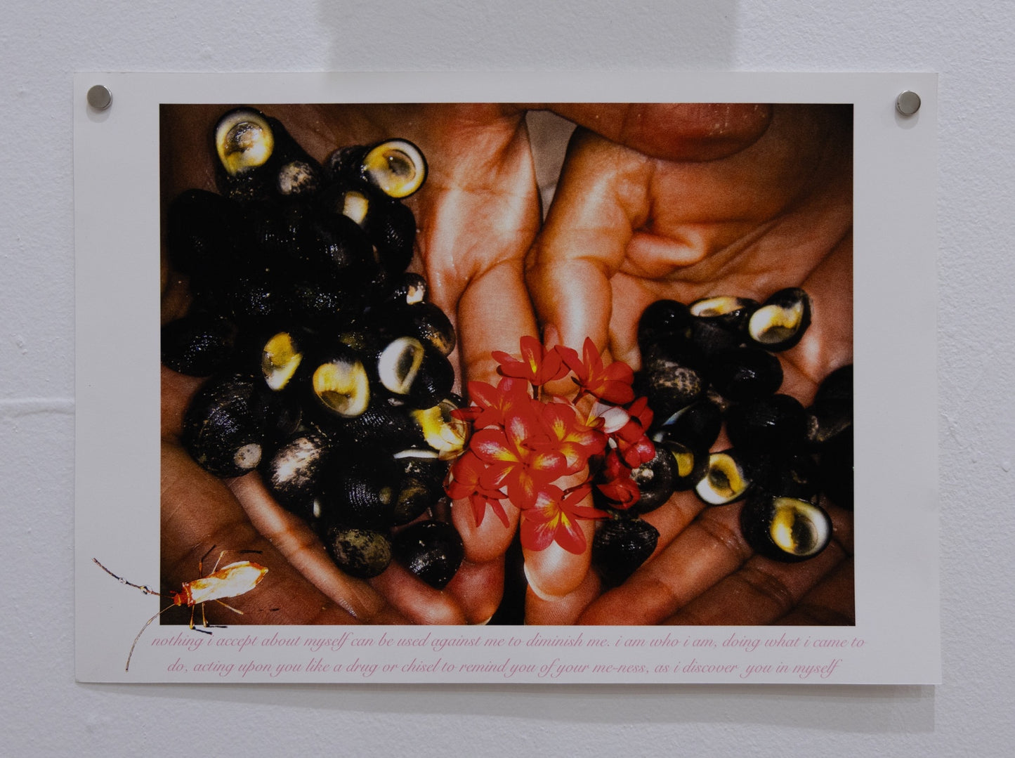 Lara Marie Wilkinson - Le Morne 2