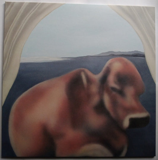 MIKEY YOUNG - CURTAINS LP